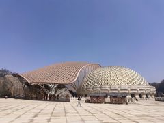 -牛首山文化旅游区