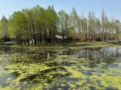 -长广溪湿地公园