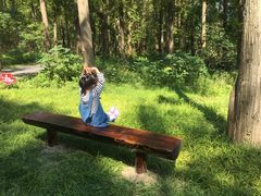 -黄海国家森林公园