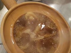 -大中鱼翅 Taitong Shark Fin