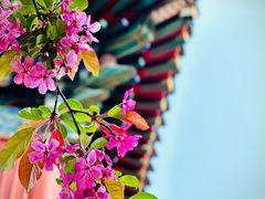 -北京艺术博物馆(万寿寺)