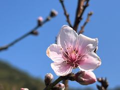 -常来小聚·广州非遗传承餐厅(中山二路店)