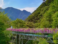 -浙北大峡谷