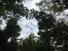 -观象山公园