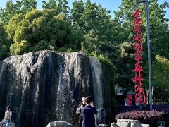 -合肥滨湖国家森林公园