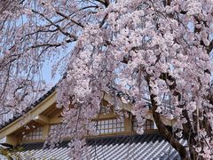 -醍醐寺