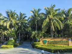 -三亚南山文化旅游区