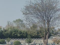 -昭庆寺