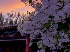 -独乐寺