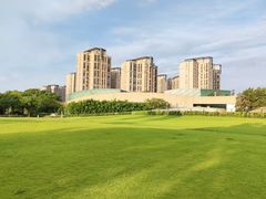 -新江湾城公园