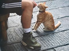-富桂厨房