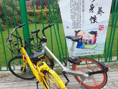 -新江湾城公园