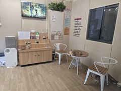 -唐小姐の私宠·宠物洗护美容·撸猫馆·购宠(周浦万达旗舰店)