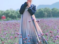 -北京东方普罗旺斯薰衣草庄园