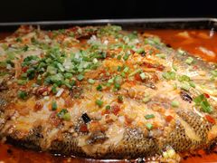 海鲈鱼-炉鱼(萧山万象汇店)
