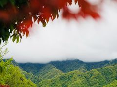 -朝阳沟