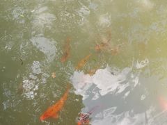-灵栖洞天