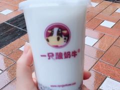 -一只酸奶牛(奎星楼店)