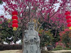 -仙岳公园