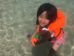 -珊瑚岛