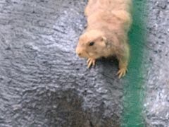 -呀诺达热带雨林