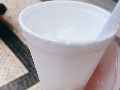 -洪馨椰子