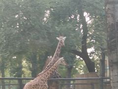 -石家庄市动物园