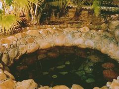 -三亚海棠湾南田温泉神龙谷
