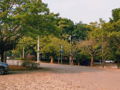 -东莞市大岭山森林公园