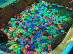 -南宫温泉水世界