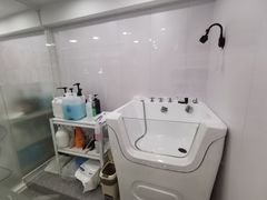 -爱洗澡的猫(天河路店)