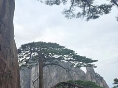 -黄山风景区