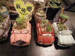 -北方图书城(沈阳天地店)