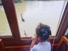 -长兴太湖图影湿地文化园