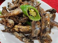 椒盐多春鱼-蛇口康乐快餐鱼仔档(翠苑小区店)