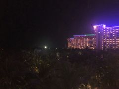 -三亚国光豪生度假酒店-椰语堂(国光豪生店)
