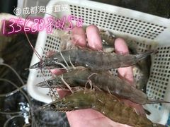 -青石桥市场北1-27号