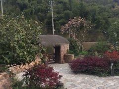 -看见远方·莫干遥远的山民宿