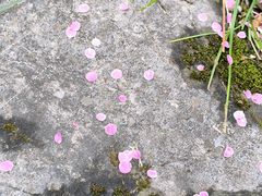 -浙江大学(玉泉校区)