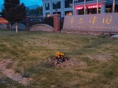 -布尔津河堤夜市