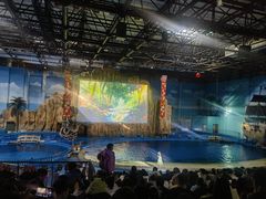 -华夏文旅海洋公园