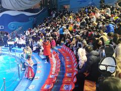 -烟台海昌鲸鲨海洋公园