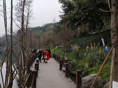 -重庆彩云湖湿地公园