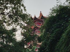 -黄鹤楼公园(黄鹤楼)