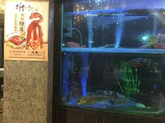 -稻香酒家·35年老字号(侨光店)