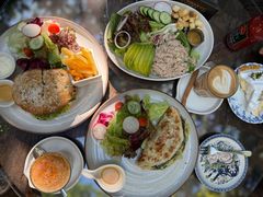 -Fern Forest Cafe