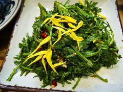 菊花拌茼蒿-醉云喃