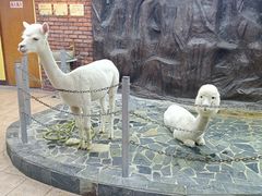 -上海大自然野生昆虫馆(东方明珠·爬宠昆虫探索中心)