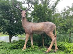 -溱湖国家湿地公园