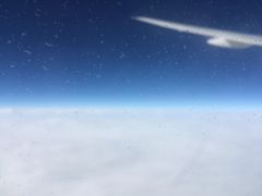 -上海对外经贸大学(古北校区)